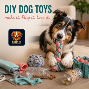 DIY dog toy DIY dog toy